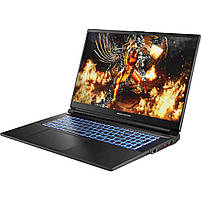 Ноутбук Dream Machines RG4050-17 (RG4050-17UA38), фото 3