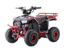Квадроцикл із двигуном внутрішнього згоряння Ramiz Quad 110CC EXPLORER, фото 3