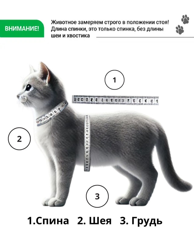 майка для кота