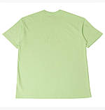 Футболка Nike ACG Dri-FIT Logo Tee Vapor Green FQ3740-376, фото 3