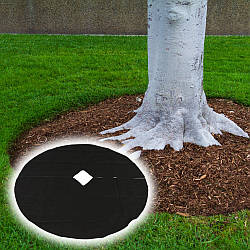 Як захистити ґрунт під деревами та кущами від бур'янів: пристовбурні кола та соснова кора