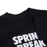 Футболка Nike M NK SB TEE SPRING BREAK DX9457-010, фото 3