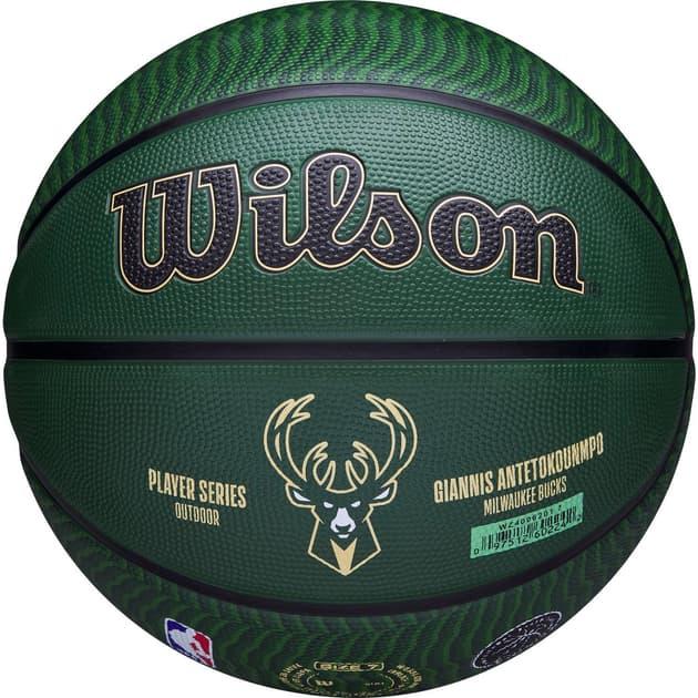 Баскетбольний м'яч Wilson NBA PLAYER ICON OUTDOOR GIANNIS (розмір 7) WZ4006201XB7, фото 1