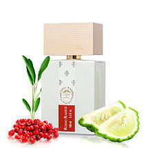 Giardini Di Toscana Rosso Radice парфумована вода 100 ml. (Джардіні Ді Тоскана Россо Радіус), фото 5