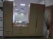 Пенал 1 лівий Swan / Сван 2300х500х600мм Art In Head, фото 5