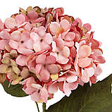 Квітка штучна "Гортензія", рожева ELISEY, фото 3