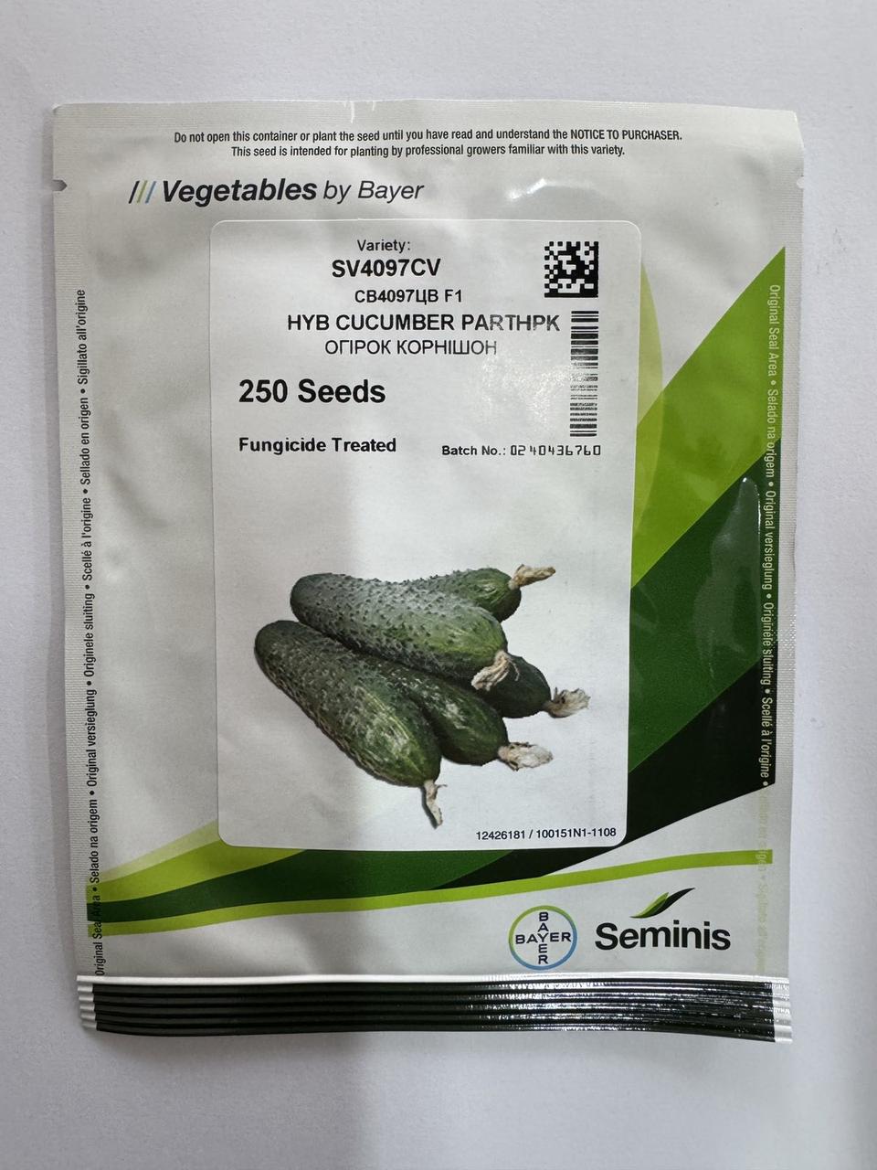 Насіння огірка SV 4097 CV F1 250 н., фото 1