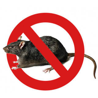 Засоби захисту від гризунів