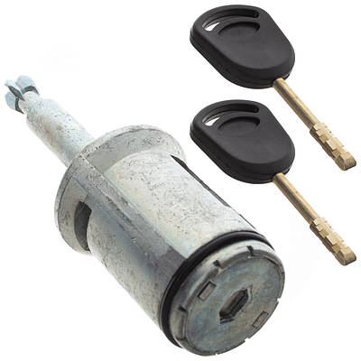 Личинки замка