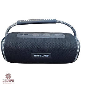 Колонка Roseland RS-510 10W