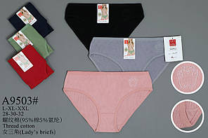 Труси бавовняні Шорти «Пояс і Спорт» 48-52 (9503)