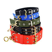 Класичні нашийники для собак