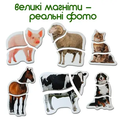 Магнітні пазли Magdum Ферма (ML4031-19 EN) (4820215152761), фото 4