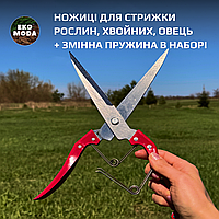 Ножиці для стрижки рослин, хвойних, овець + змінна пружина в наборі