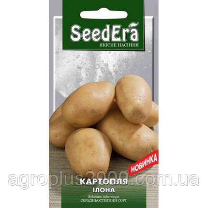 Насіння Картопля Ілона 0,02 грама SeedEra, фото 2