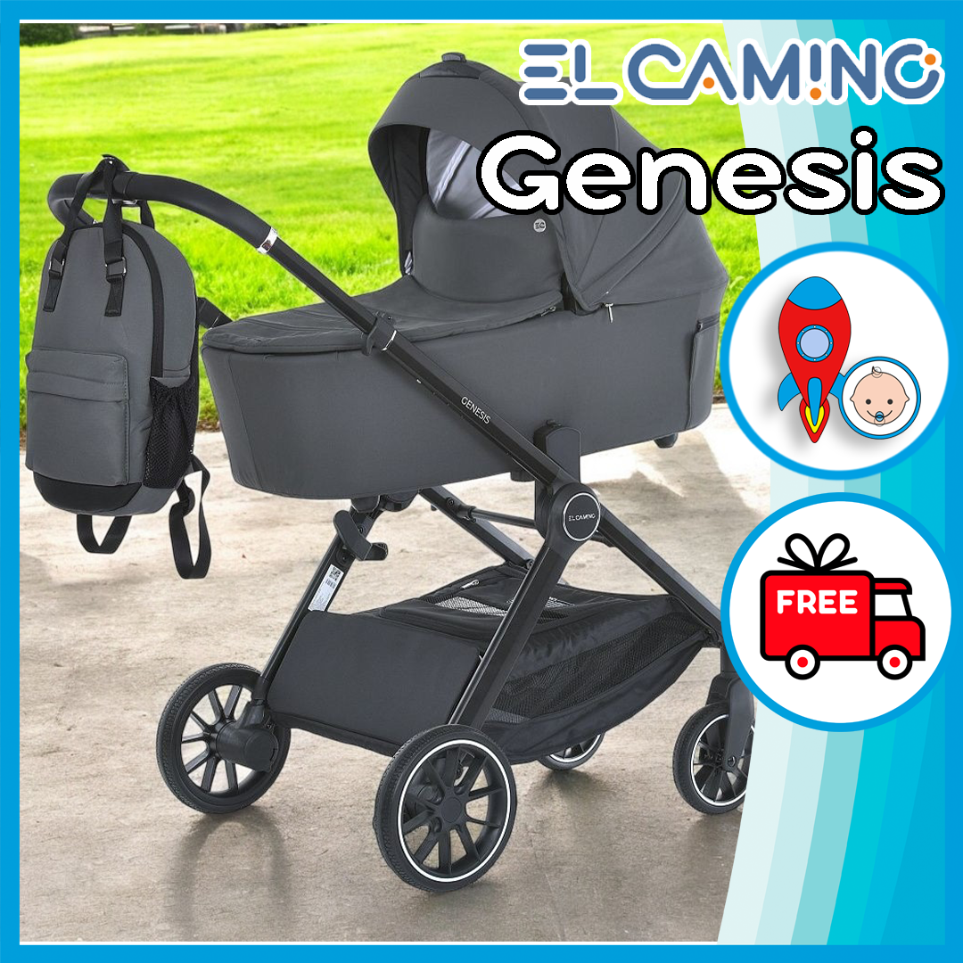 Універсальна коляска 2 в 1 El Camino Genesis ME 1126
