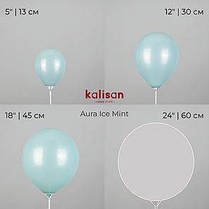 KALISAN-КЛ 5" 122 Аура Крижана мʼята | Aura Ice Mint, фото 4