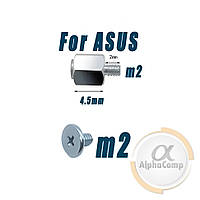 Гвинт і стійка M.2 SSD Asus (4.5mm • 2mm • m2) 2шт