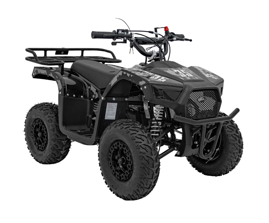 Дитячий квадроцикл із двигуном внутрішнього згоряння Ramiz Quad 49CC SIRIUS