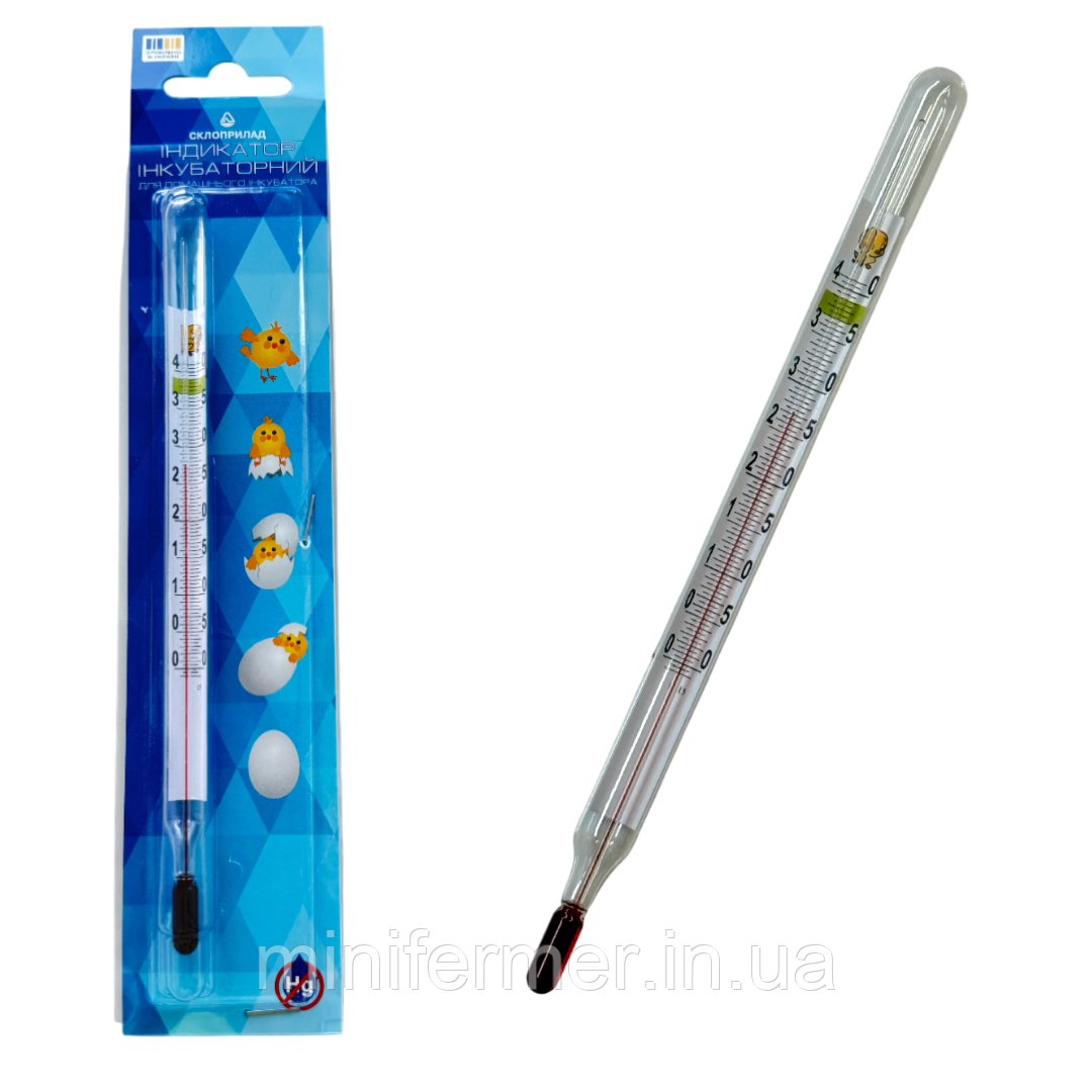 Індикатор (термометр) градусник інкубаторний, фото 1