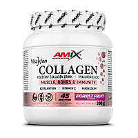Amix Viscofan Collagen Drink 300g