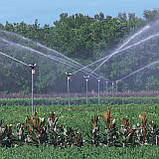 Дощувач Presto-PS зрошувач імпульсний на 2 форсунки з різьбленням 1 дюйм (7025) - ps-1023, фото 3