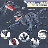 Інтерактивний Робот Динозавр Велоцираптор з дистанційним керуванням зі світлом та звуком на Акумуляторі Синій, фото 7