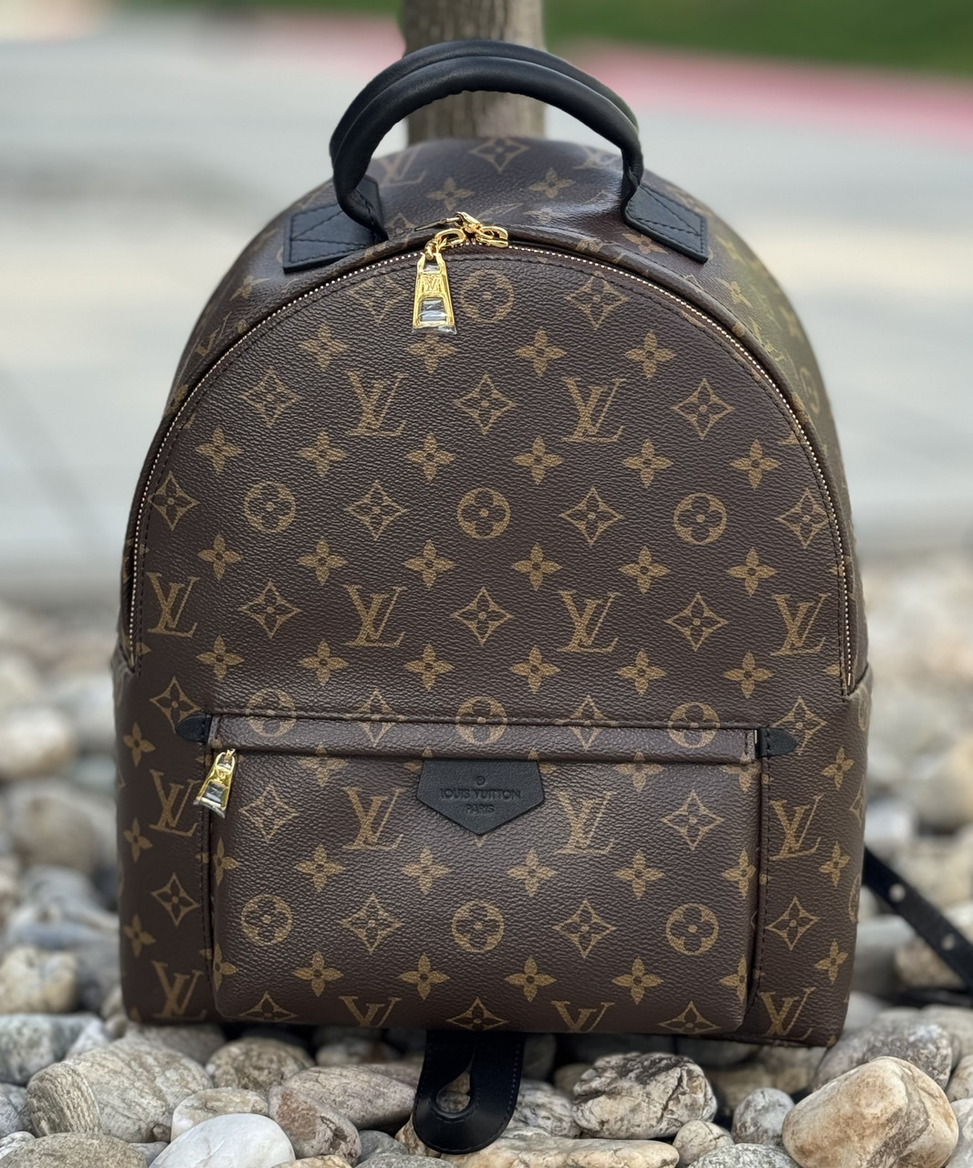 Рюкзак Palm Springs Backpack MM 2022 Louis Vuitton (Луї Вітон Палм Спрінгс Бекпекс ММ)