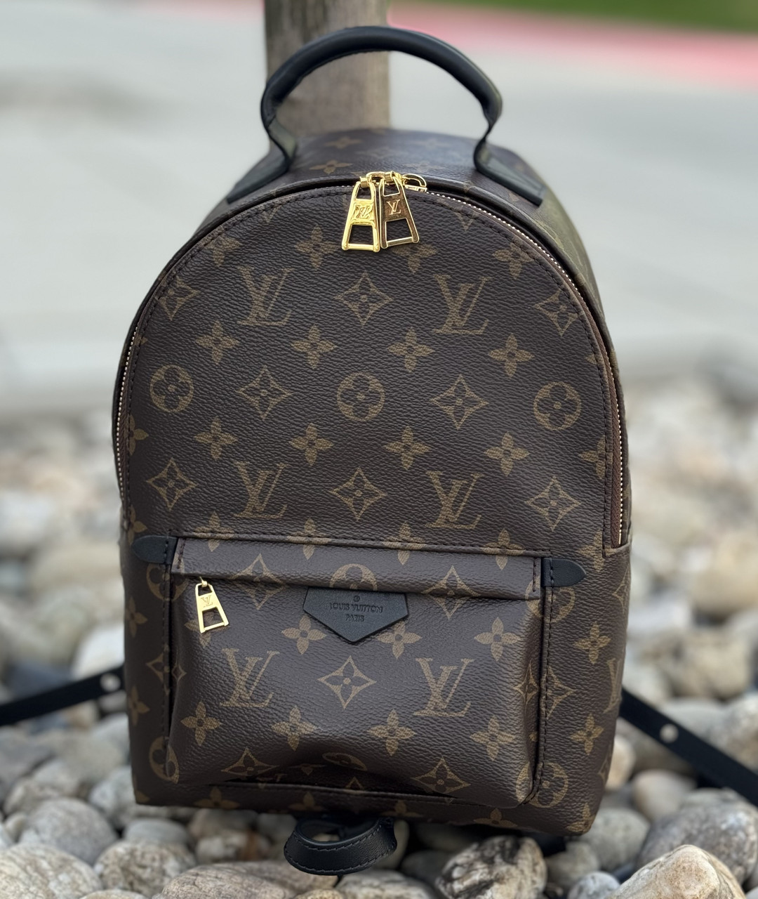 Рюкзак Palm Springs Backpack PM Louis Vuitton 2020 (Луї Вітон Палм Спрингс Бекпек PM)