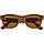 Смарт-окуляри Ray-Ban Meta Wayfarer Shiny Caramel Frame Brown Lenses (RW4008 670683 50-22), фото 6
