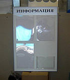 Стенд інформаційної 4 кишені в профілі, фото 2