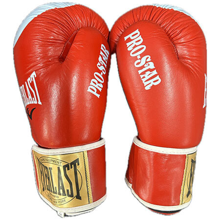 Боксерські рукавички Ever PRO STAR, шкіра, 8oz, червоний