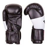 Боксерські рукавички Ever DX, 10 oz, біло-зелений, фото 4