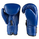Боксерські рукавички Ever, DX-380, 6oz, синій, фото 4