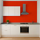 Кольорова Фарба СИЛІКОНОВА Skyline для вологих приміщень 1085-Y80R (C) Санверон 1л, фото 3