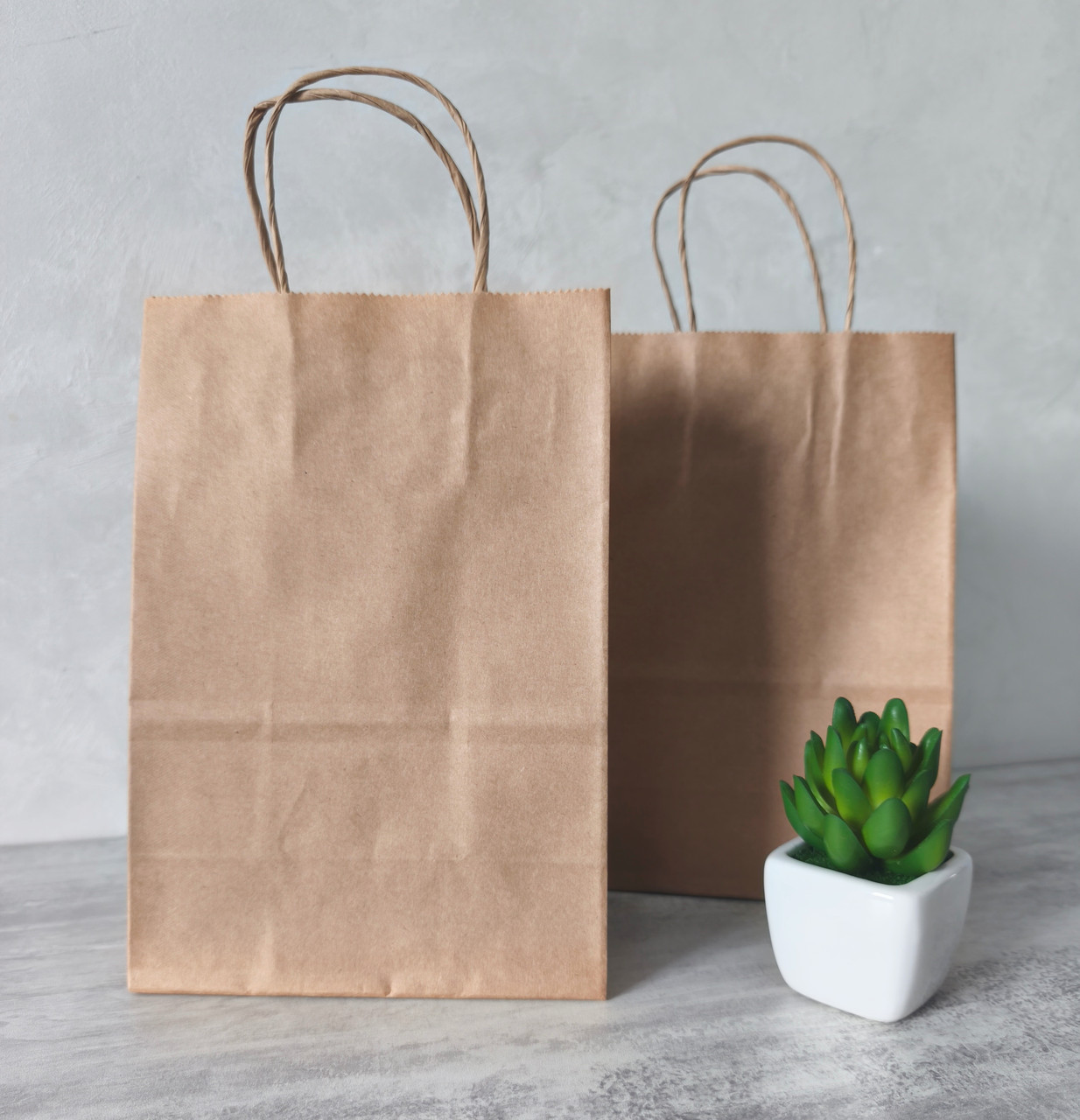 Крафт пакет коричневий з ручками 150*90*220 мм, папір ІМПОРТ, 100 г/м2, формат А5, для косметики, подарунків, аксесуарів, фото 1