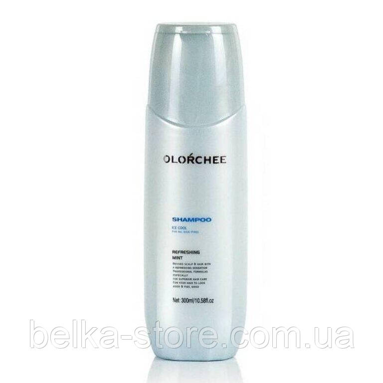 Освіжаючий шампунь Olorchee Ice Cool Shampoo, 300 мл, фото 1