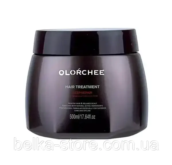 Маска для глибокого відновлення волосся Olorchee Deep Repair Hair Treatment, 500 мл, фото 1
