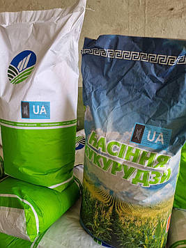 ДН Аджамка насіння кукурудзи ФАО 320