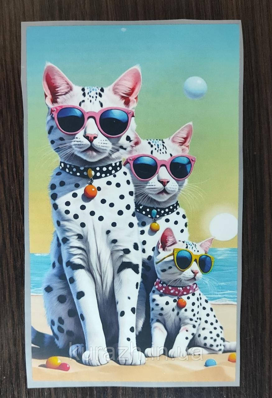 Термоналіпка на одяг, фото 1