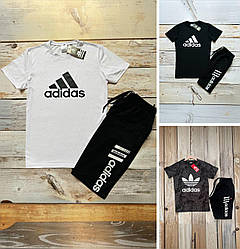 Чоловічий літній спортивний костюм Adidas футболка та шорти якісний трикотажний, білий, чорний, сірий