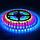 Світлодіодна стрічка RGB SMD 5050 12V 60 д.м.IP20 WS2811 PIXEL (ціна 1м), фото 3