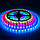 Адресна світлодіодна стрічка RGB SMD 5050 12V 60 д.м. 3LED IP20 WS2811 PIXEL чорна підкладка (ціна 1м), фото 3