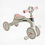 Дитячий велосипед Триколісний BestTrike BST-565 рожевий, фото 4