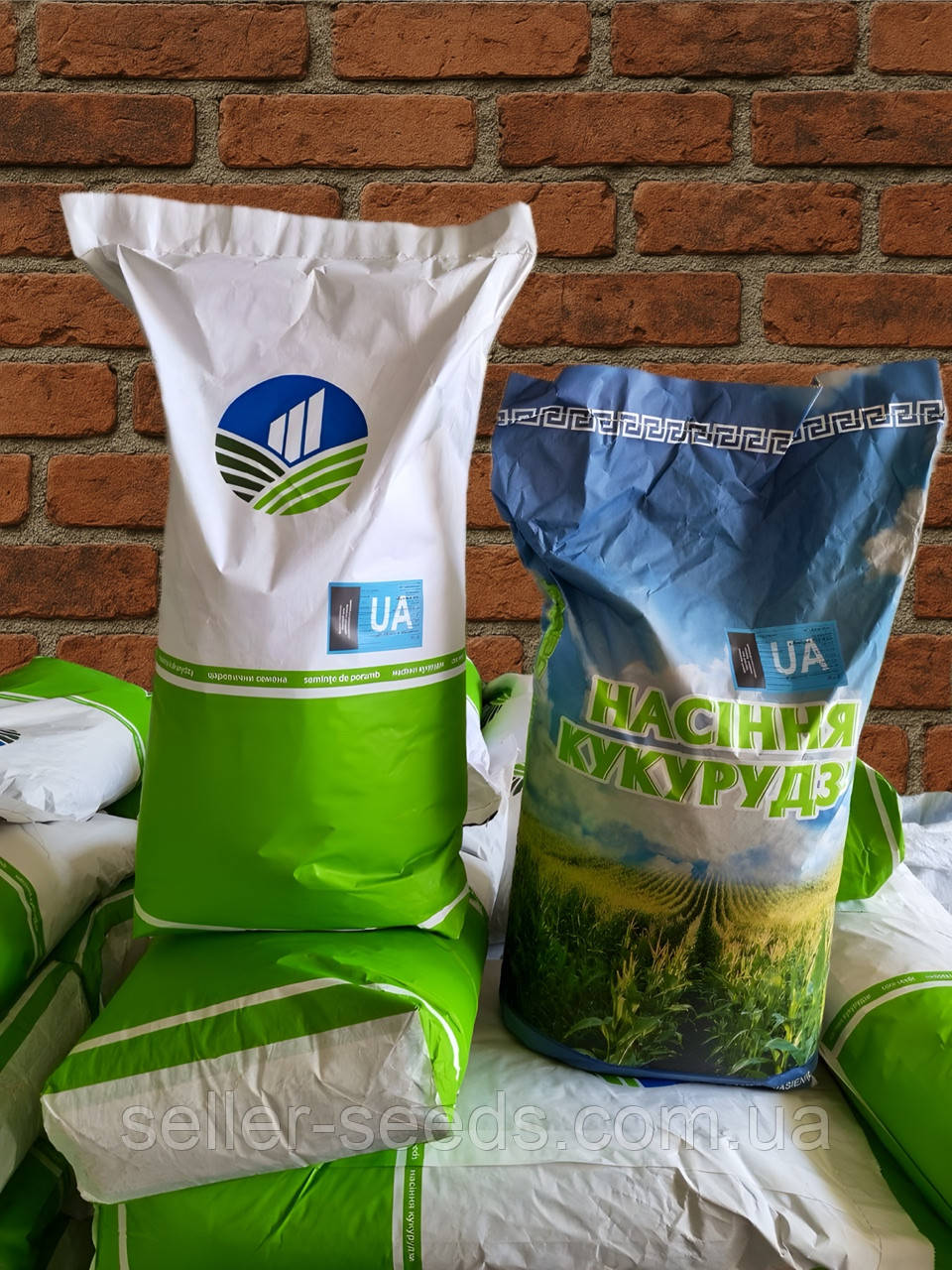 Насіння кукурудзи Моніка 350 МВ ФАО 350, фото 1