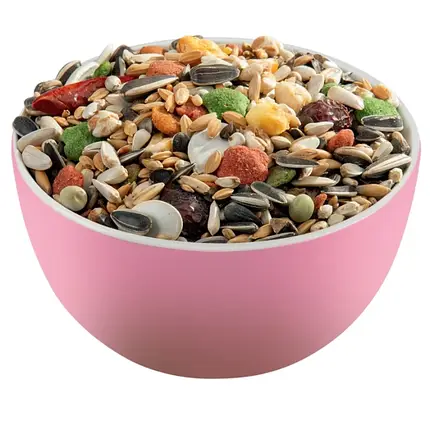 Повноцінний корм для великих папуг VERSELE-LAGA PRESTIGE PREMIUM PARROTS ВЕЛИКИЙ ПАПУГА 2 кг, фото 2