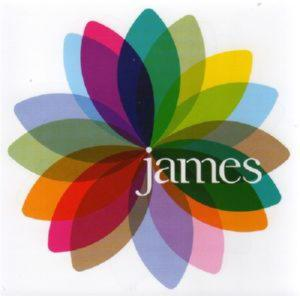 JAMES – FRESH A DAISY — THE SINGLES (CD Audio)
