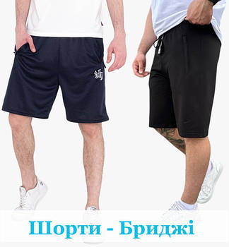 Чоловічі шорти Норма і Батал