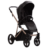 Коляска 2 в 1 Bebetto PELPASSO Pro 03 KASHMIR чорна 503.43.25.K03, фото 2