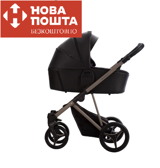Коляска 2 в 1 Bebetto PELPASSO Pro 03 KASHMIR чорна 503.43.25.K03, фото 1